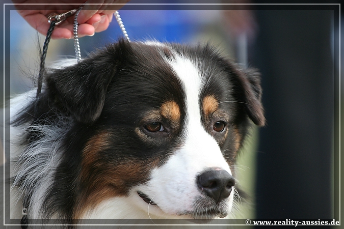 09_09_neerpelt_037