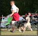 09_09_neerpelt_058