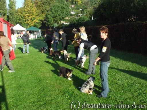 l_puppies_claudia_01